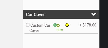 car cover.jpg