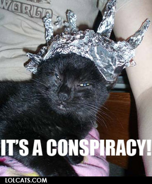 Cat tin foil hat.jpg