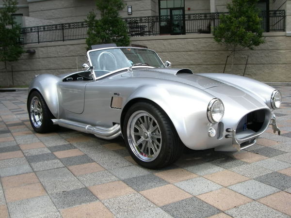 Cobra2011.jpg