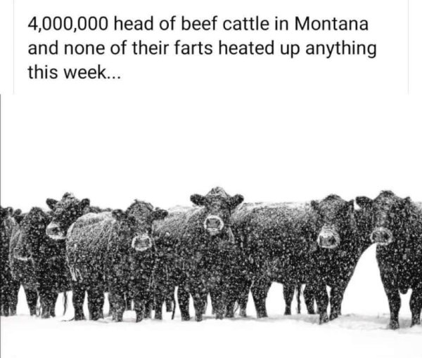 cow farts in montana didnt heat up anything.jpg