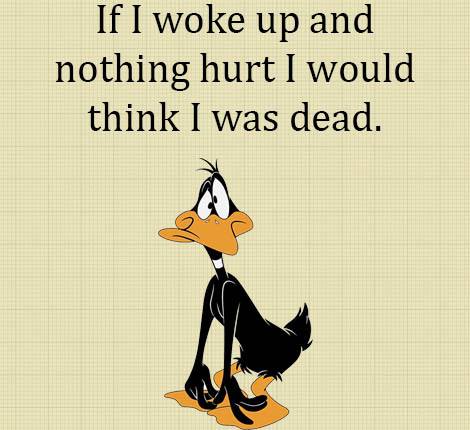 daffy.jpg