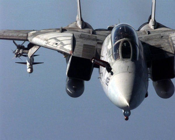 grumman-f14-tomcat_8.jpg