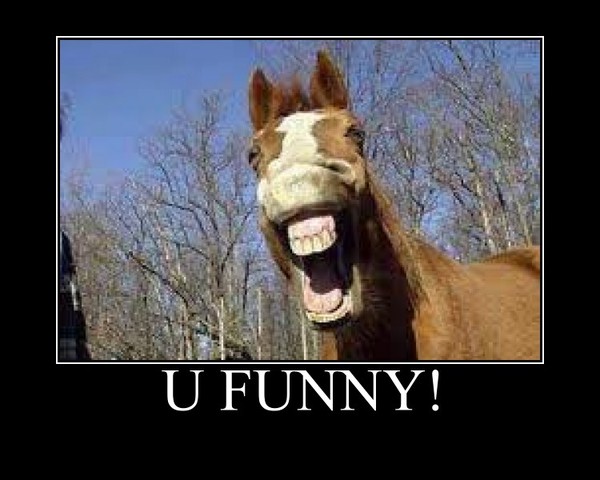 Laughing_Horse_by_FatGiraffe77.jpg