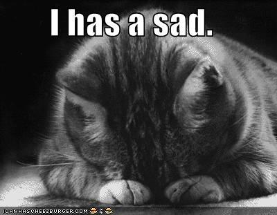 sad-cat.jpe