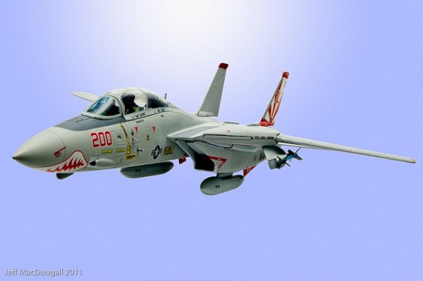 vf111.jpg