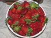 150507 001 Porter Farm Strawberries 001.jpg